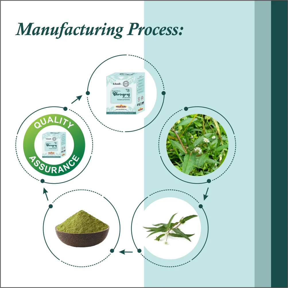 manufacturing process of Bhringraj powder - www.dkihenna.com