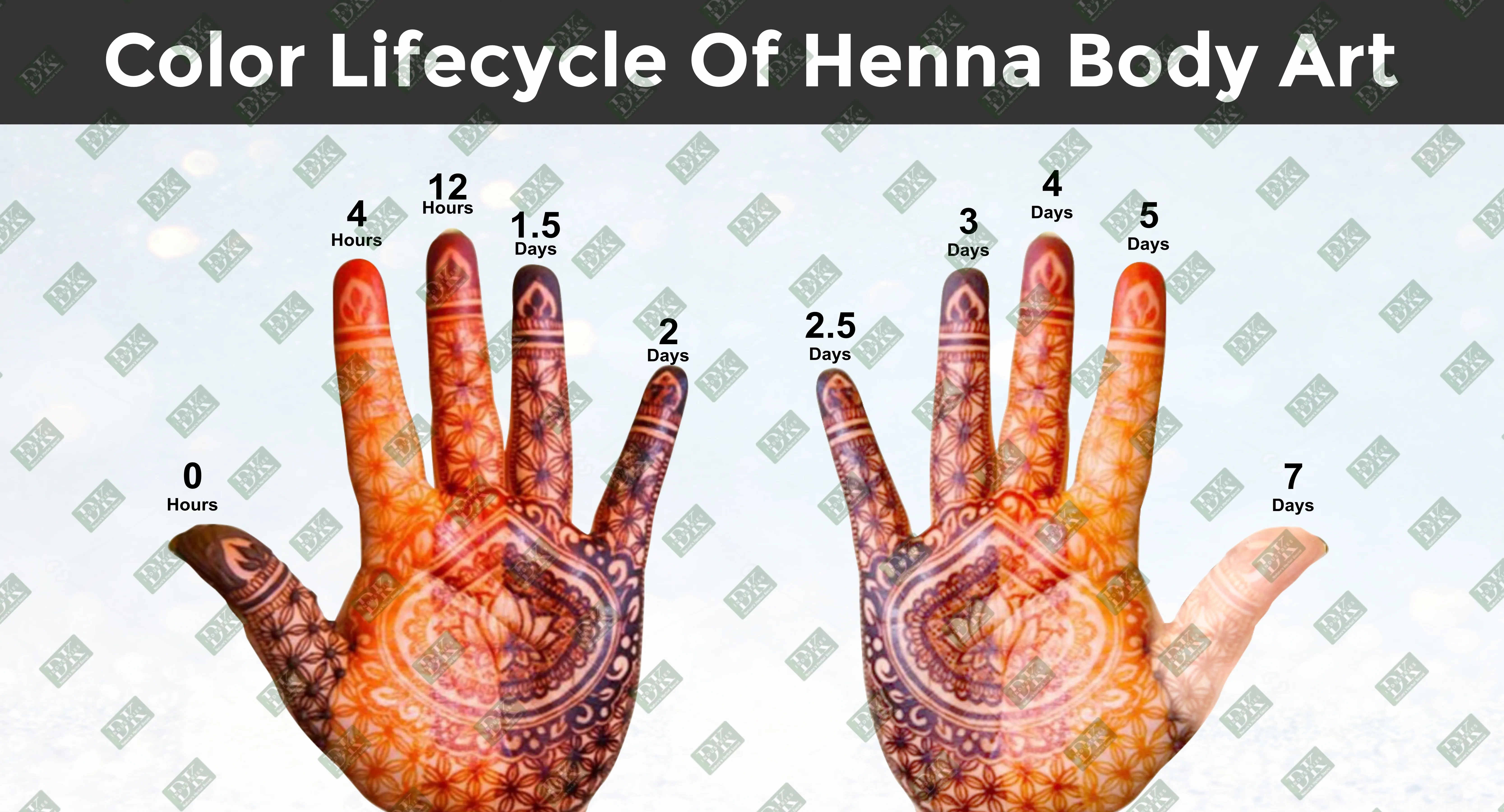 henna body art quality - www.dkihenna.com
