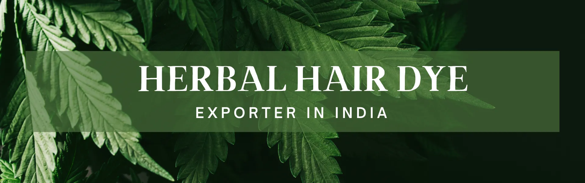 herbal hair dye exporter in India - www.dkihenna.com